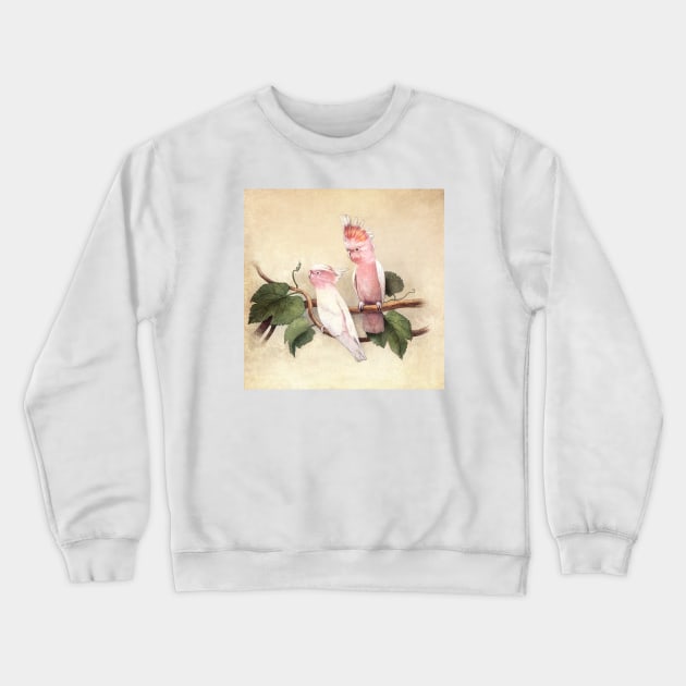 Pink Cockatoos Crewneck Sweatshirt by Terry Fan